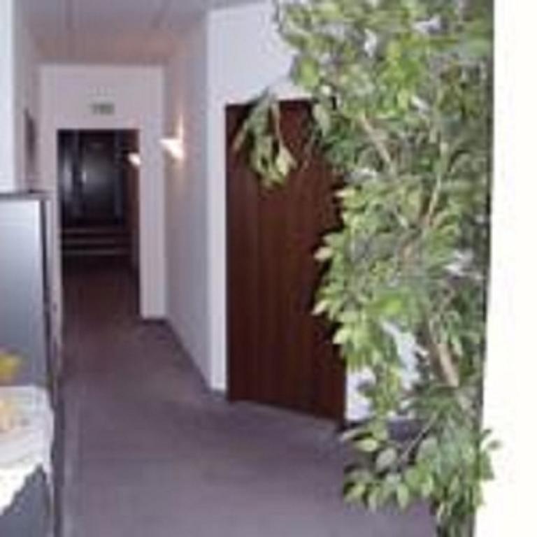 Pension Waldidyll Stützerbach Exterior foto