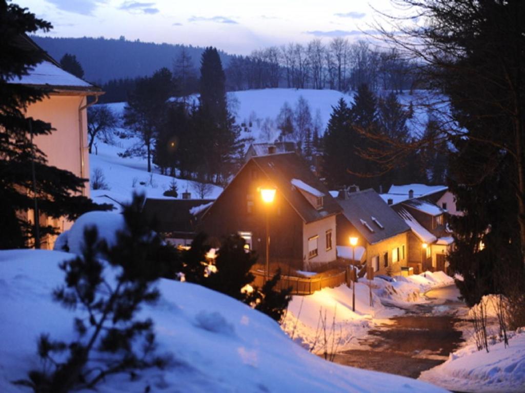 Pension Waldidyll Stützerbach Exterior foto