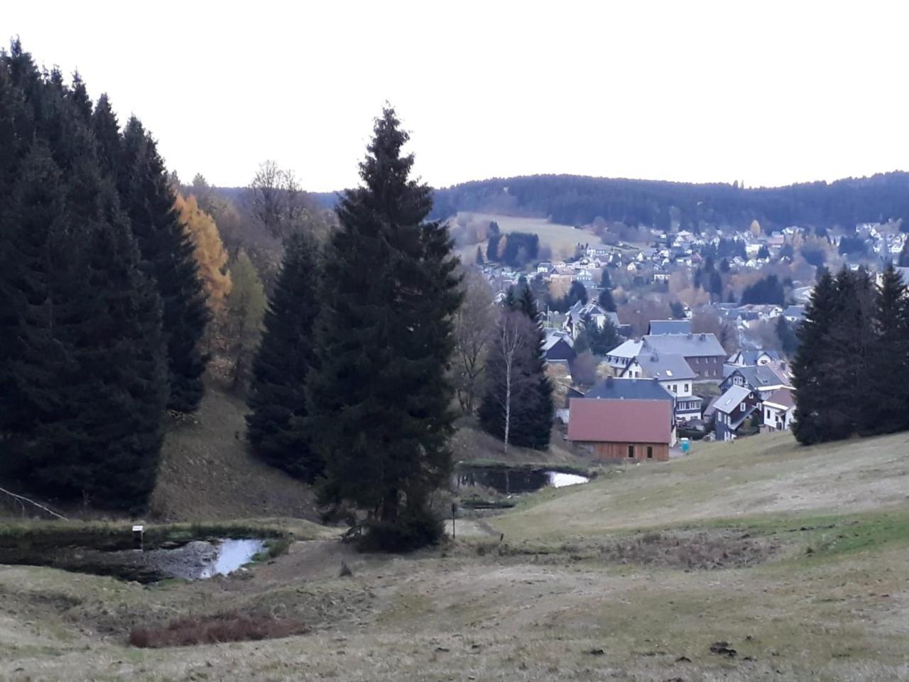 Pension Waldidyll Stützerbach Exterior foto